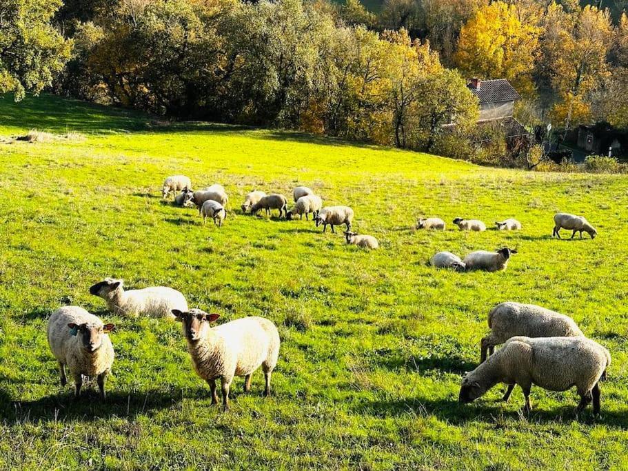 Gite De Mazies Aveyron Broquies Extérieur photo
